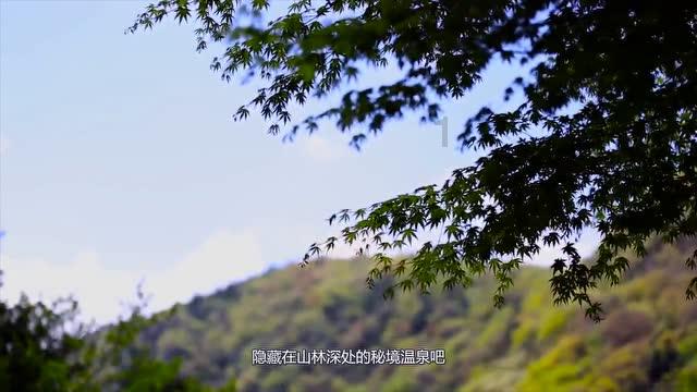 开展救助长江珍稀鱼公益活动 2024福探长年度盛典再添公益新彩